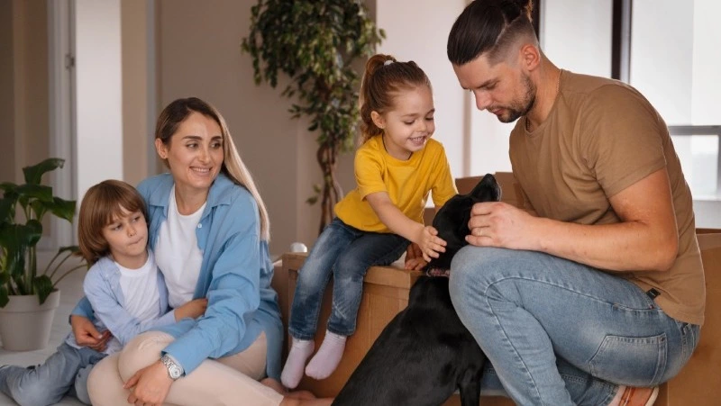 Многодетным семьям на Сахалине станет проще улучшить жилищные условия