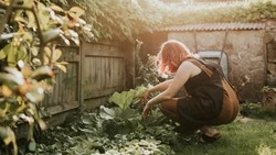 На Курилах наследница, едва не лишившись дачи, засудила нотариуса из-за ошибки в документе