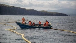 На финишной прямой 