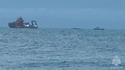 Более 20 спасателей МЧС привлекли к поиску пропавших моряков на Сахалине