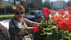 Пожилую женщину поймали на краже цветов с клумбы в Южно-Сахалинске