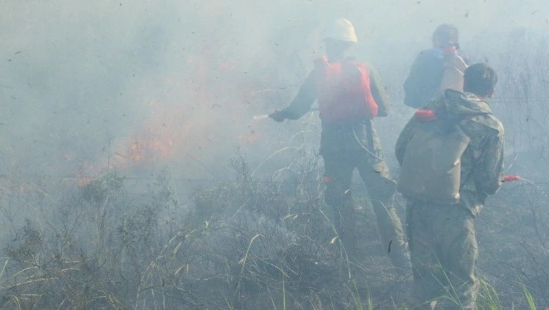 Новую технику на 34 млн рублей закупят для лесопожарных служб Сахалинской области