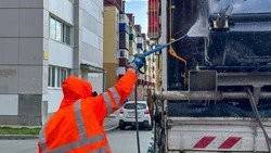 Больше тысячи мусорных контейнеров приведут в порядок в Южно-Сахалинске