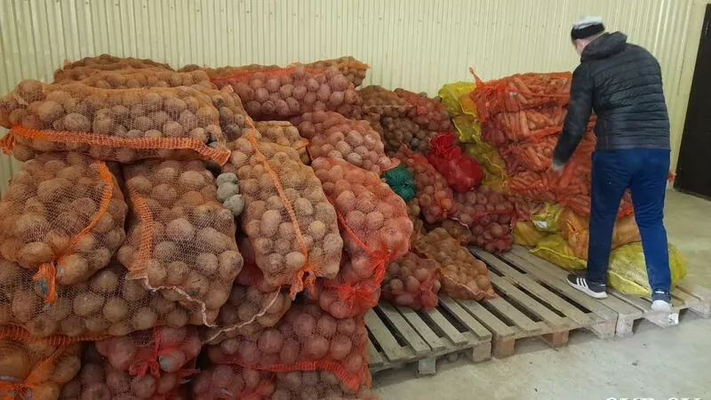 Хватит на всех. На складах Южно-Сахалинска пересчитали весь запас картошки