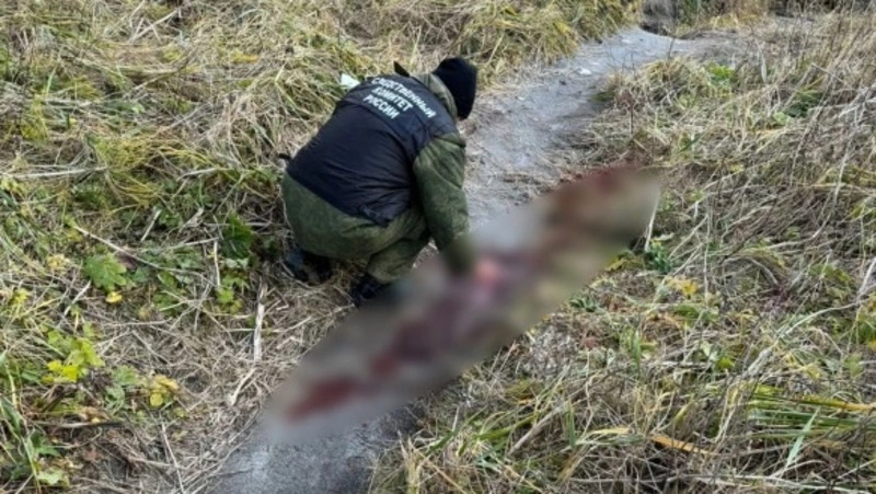 Пострадавшего при нападении медведя туриста планируют доставить в Южно-Сахалинск