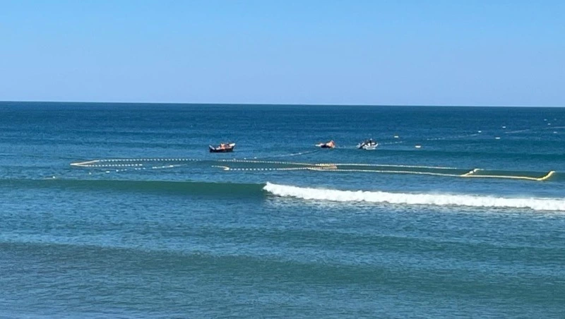 Тунцовый бум и цифровая революция: Сахалин делает ставку на рыболовный туризм