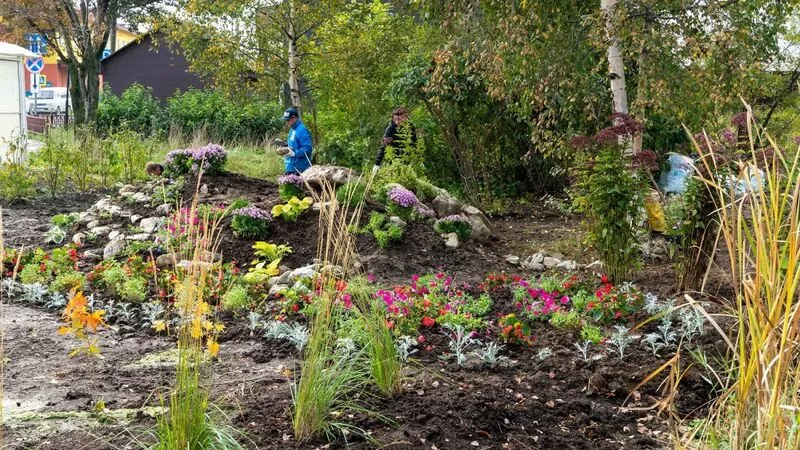 Новая зеленая зона с мостиком появилась в Южно-Сахалинске