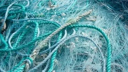 Браконьеру с Сахалина грозит штраф или лишение свободы за вылов кеты