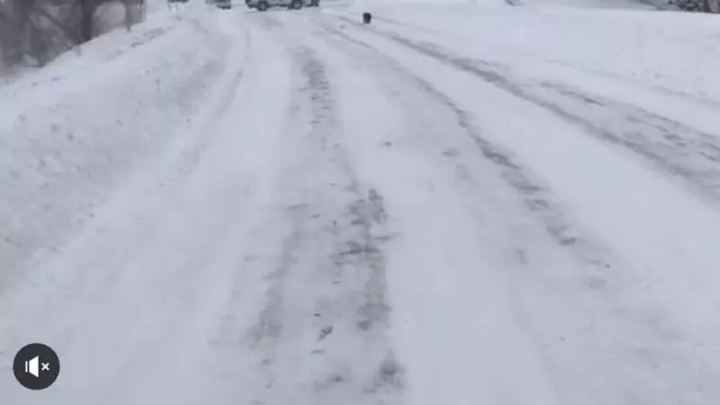 Сахалинка в метель бросила авто и прошла 3 км до дома к младенцу