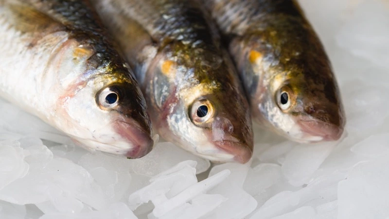 С Сахалина и из Приморья за неделю экспортировали 35 тысяч тонн рыбы