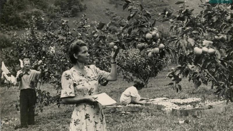 Уникальные и особо ценные: тонкости работы исторического архива раскрыли сахалинцам