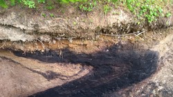 Росгеология до весны свернула разведку крупнейшего месторождения угля на Сахалине