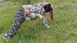 Квадроберов в Южно-Сахалинске предложили лечить или игнорировать