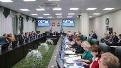 Комитеты областной Думы оценили эффективность исполнения программы по развитию Курил