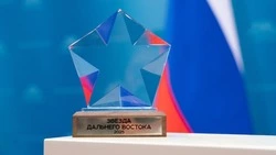 На премию «Звезда Дальнего Востока» претендуют более 150 общественных и инвестиционных проектов
