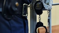 Сахалинку отправили в колонию на 4,5 года за фейковую аренду квартиры