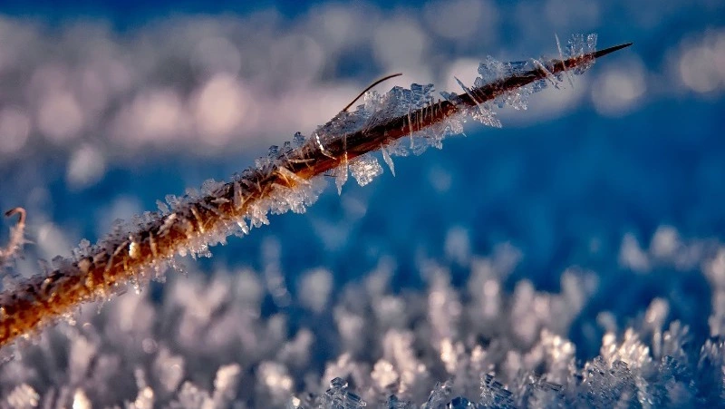 Детей из 7 школ Охинского района перевели на удаленку 16 января из-за мороза