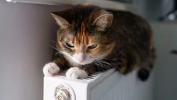 Часть Южно-Сахалинска осталась без тепла и воды 25 ноября 