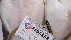 Свежую камбалу по 100 рублей за килограмм привезли в Томари 21 июля