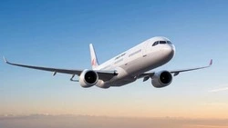 На Камчатке выявили первый случай столкновения самолета с дроном