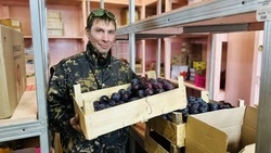 Более 100 островитян с инвалидностью трудоустроили при содействии сахалинской службы занятости