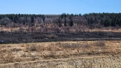 Более 7 тысяч кв. метров сухой травы сгорело возле свалки в Углегорском районе