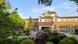 Тренер, директор школы и музейный работник борются за победу в конкурсе «Активное долголетие»