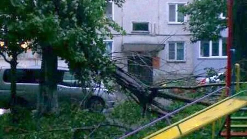 Циклон повалил деревья в Южно-Сахалинске