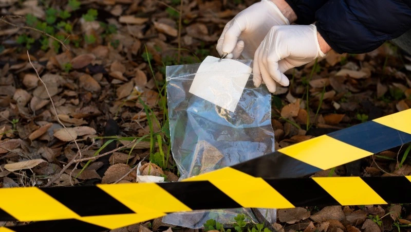 Суд признал виновным жителя Курильского района в убийстве приятеля