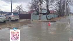 В Троицком водитель Toyota Mark II  задним ходом сбил пешехода и скрылся с места ДТП 