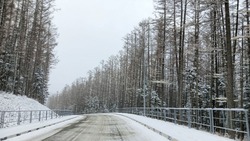 Крепкие морозы и небольшой снег ожидаются в Сахалинской области 18 января