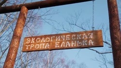 Экотропу обустроят на «Горном воздухе» в Южно-Сахалинске