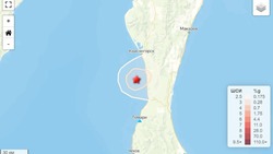 Землетрясение магнитудой 2,9 произошло между Томари и Красногорском утром 15 мая