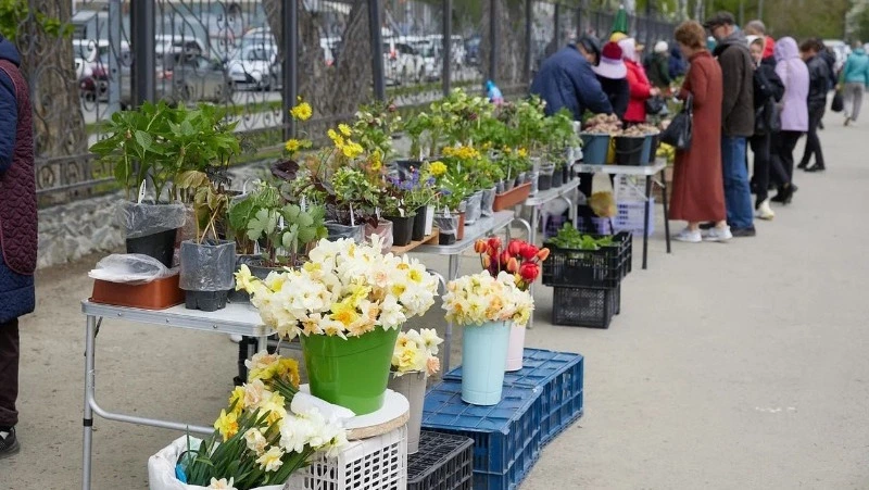 В Южно-Сахалинске в честь Дня России пройдет ярмарка среди мастеров и садоводов