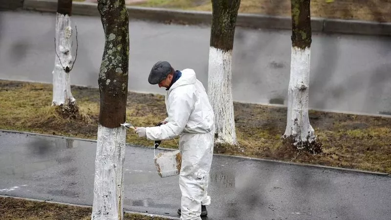 На деревьях в Поронайске появились постыдные рисунки