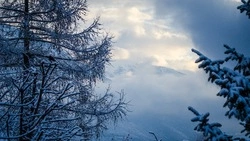 Облачное небо и слабый ветер ожидаются в Сахалинской области 26 февраля