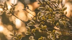 Трагедия в порту и внезапная метель: новости апреля 2023 года в Сахалинской области