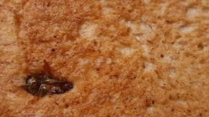 Сахалинцы купили хлеб с пропеченным хрустящим тараканом