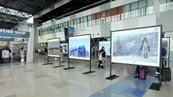 Тысячи человек посетили выставку «Дальний Восток — Земля приключений» в аэропорту Владивостока