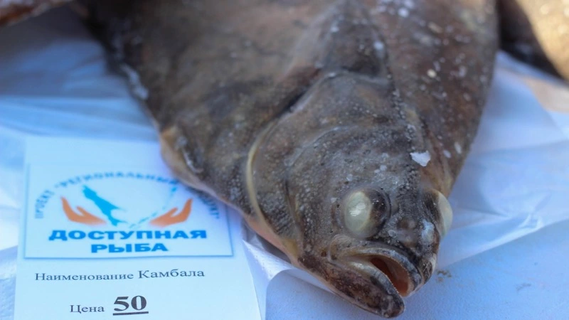 Рыбу по 50 рублей за килограмм впервые привезли в Томари