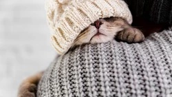 Часть Южно-Сахалинска осталась на шесть часов без отопления 21 ноября 