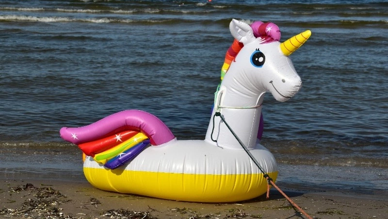 В МЧС объяснили, почему нельзя плавать на надувных кругах у берегов Сахалина