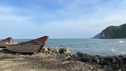 Пять хвостов: эксперты дали оценку по увеличению квот на лов бесплатной горбуши на Сахалине