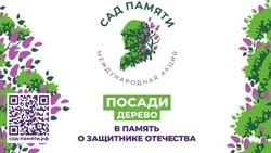 Клены высадят в Южно-Сахалинске благодаря национальному проекту 