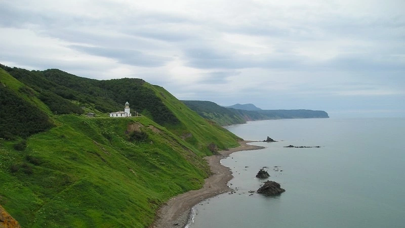 Сахалинская область вошла в число регионов, безопасных для аллергиков