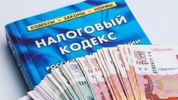 Налоговые махинации в России будут расследовать по новому порядку
