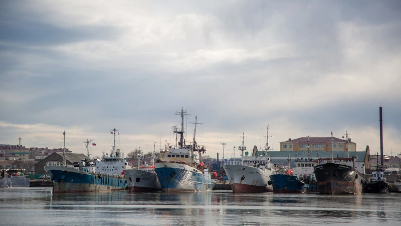 «Просят постоять». Японцы опрашивают сахалинских моряков о смертельном столкновении в море