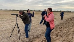 Орнитолог из заповедника на Кунашире побывал на «Журавлиной конференции»