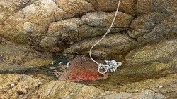 «Много крови». Туристка серьезно пострадала, упав с маяка Анива