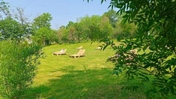 В городском парке Южно-Сахалинска установили шезлонги 